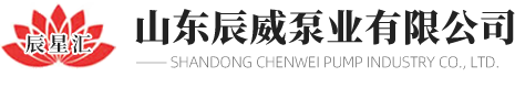 山（shān）東91成人泵（bèng）業有限公司