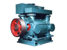 2BE係（xì）列水環真空泵