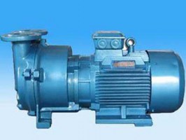 2BY係列真空（kōng）泵